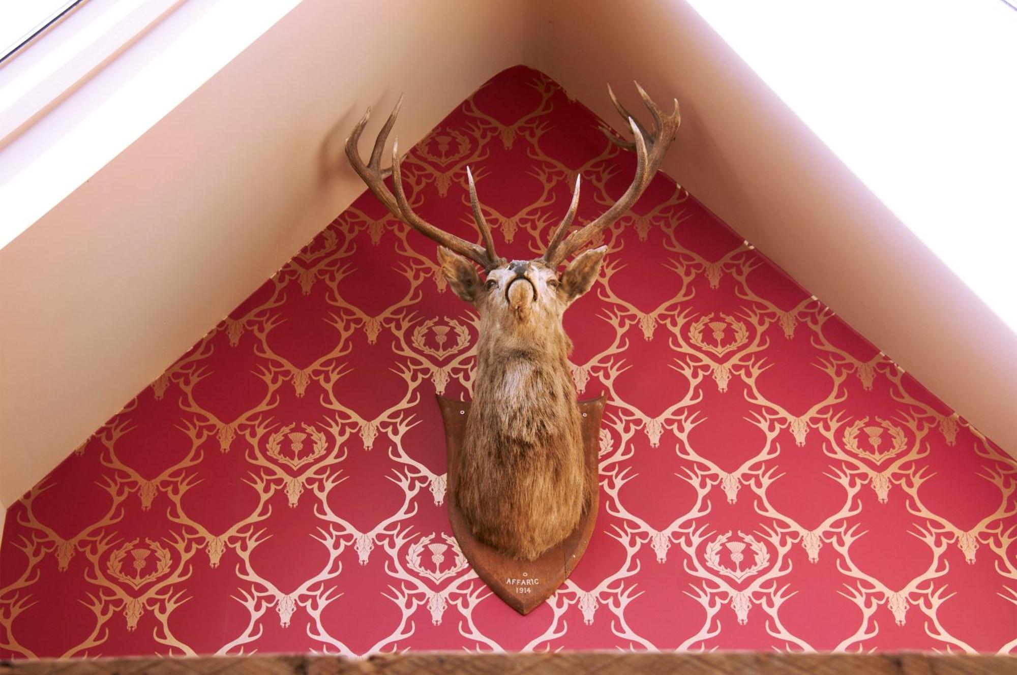 The Museum Inn Farnham  المظهر الخارجي الصورة